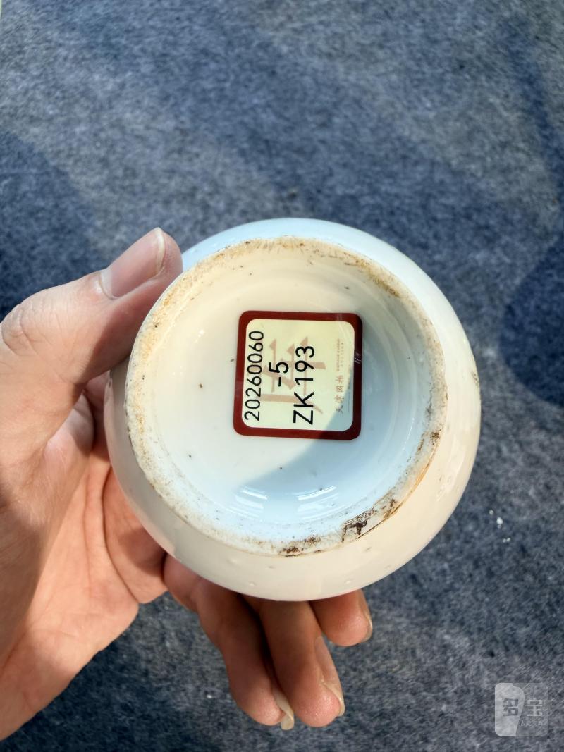 清晚期  粉彩荷塘花卉纹长颈瓶 - 图5